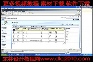 Project 2007新功能03