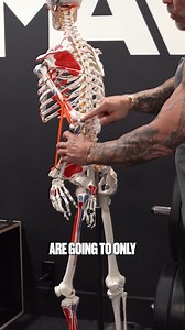 Why Do an Overhead Triceps Extension? | James Grage