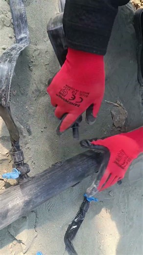 Free Greenhouse Pipe & Drip Tape Installation (Practical Tutorial)