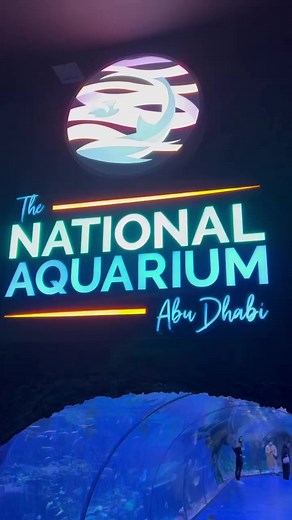 A POV of the tunnel at the National Aquarium! #aquarium #aquariumfish #AquariumHobby #aquariumfans | CoralFish12g