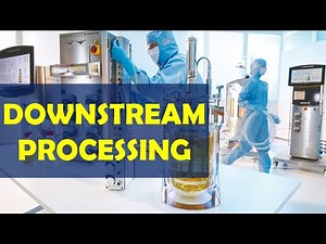 Lecture 11 Downstream Processing