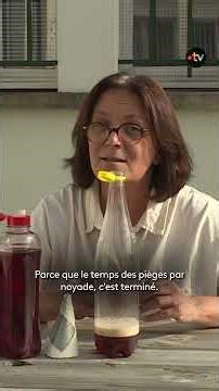 Comment faire un piège à frelon asiatique ? 🐝