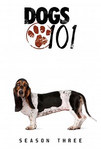 Dogs 101 Season 3
