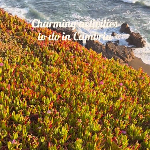 Adventure is calling you in Cambria. Whether you're chasing outdoor thrills or seeking a fresh escape, there's something here for you, from scenic hiking trails to breathtaking hidden beaches. There are endless ways to reconnect with nature in Cambria, so plan your journey today and prepare to uncover all the excitement waiting for you. | Visit Cambria