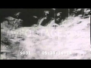 1960s Black Panther Raids and Arrests