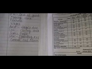 Multi- step income statement & balance sheet in Nepali|| Class 12 || NEB Board 2079 Set O Solved