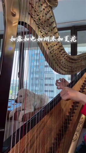 Infinite World: True or False? Explore the Boundless Truths