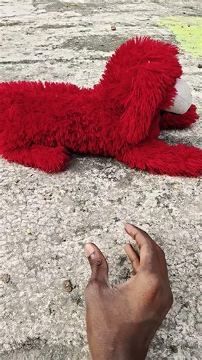 When You Find a Frog at Night! Catch big frogs funny | wepwep catching frogs make you laugh #shorts