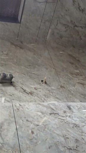 #newsong tile bathroom counter