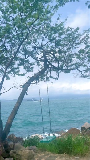 79K views · 752 reactions | Your guide to SANDY BAY swing and the beachhhhhh… KENNEDY TOWN EXIT A..take minibus 58..get off sa may rugby/football playground..nasa likod ng playground ung swing at dagat… | Carrot in Neverland | Facebook