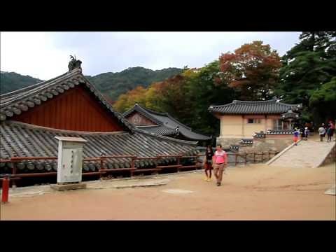 世界遺産 韓国「海印寺」「仏国寺」