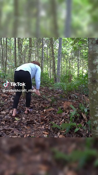 #camping #bushcratf #survival #outdoors #solo #fyp #viral #cooking