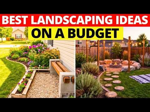 10 Best Landscaping (Budget) Ideas
