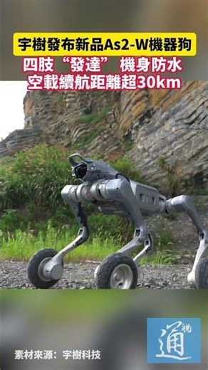 宇樹發布新品As2-W機器狗，四肢“發達”機身防水，空載續航距離超30km #宇樹 #科技 #機器狗 #中國