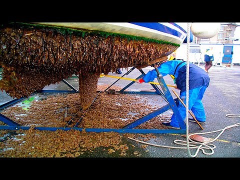Barnacle Removal From Ships And Boats - The Barnacles With Starbrite Acid for a Smooth Shiny Hull !!