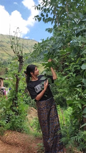 juntara sajaya Maya ko dash ma #btluser #barsha #sharma #foryoupage #CapCut