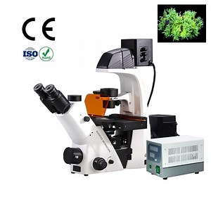 [Hot Item] Japanese Brand Bds Inverted Phase Contrast Biological Microscope for Hospital Laboratory