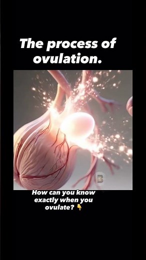 How can you know when you are about to ovulate? #Ovulation