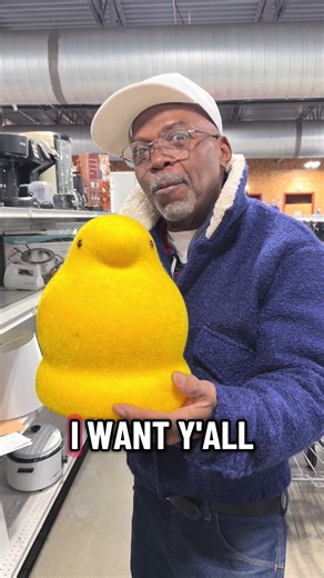 Exploring Goodwill Home Decor Finds