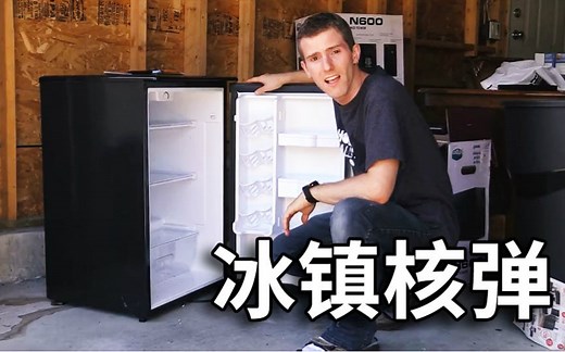 【官方双语】冰镇核弹！电脑放冰箱散热会更好么？#Linus谈科技