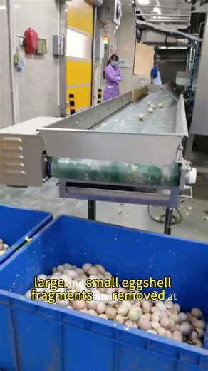 JL Intelligent Equipment — Smart Hatchery Solutions