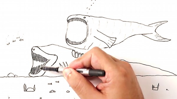 How to draw a Bloop fight El Gran Maja