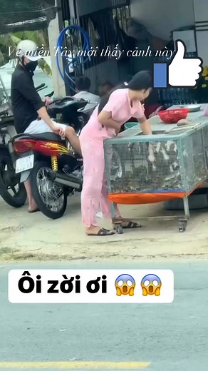 74K views · 136 reactions | Good god | Phong Le | Facebook