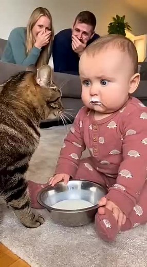 Le chat parle à bébé mignon