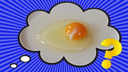 What’s the Little White Thing in an Egg?