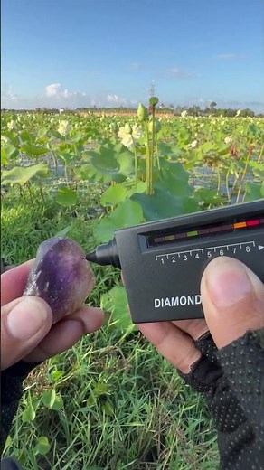 Test Real Amethyst Gemstone With Diamond Selector II Tool #naturalamethyst #quartz #crystallized