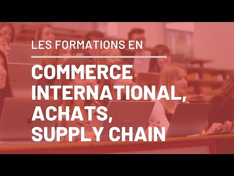 Découvrez les formations en Commerce International, Achats & Supply Chain de l'IAE Savoie Mont Blanc