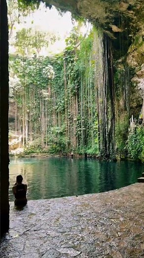 The beauty of cenotes 📍the Yucatan Peninsula #travel #cancun #cenotes #vacation #toursincancun
