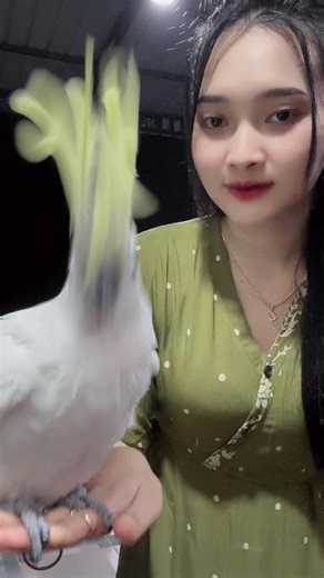 Live Streaming Ersa Amelia Terkini dan Update Terbaru