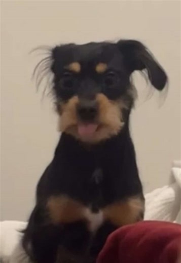 Filter so cute😍#fyp #mia