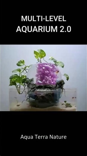 I Built Multi-Level Aquarium 2.0! #shortsfeed