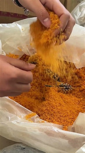 和我们一起制作手工模型吧！