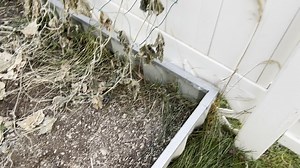 Watch Great way to grow a garden without a lot of space on Amazon Live