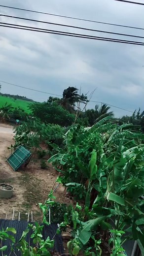 how to kiss บน TikTok