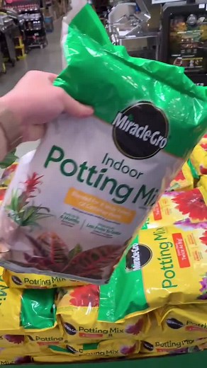 Top Garden Videos to Watch Next!