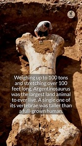 170K views · 2K reactions | Meet Argentinosaurus, possibly the heaviest land animal in history. | Knowledge | Facebook