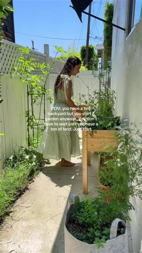 Small Backyard Garden Ideas for Your Homestead