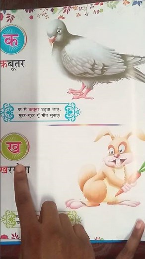 हिंदी व्यंजन | Hindi Vyanjan for children | Learn HINDI Alphabets With Picture....