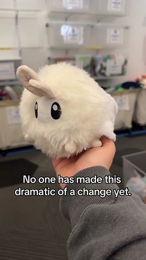 Alter Ego Moth sneak peek 👀 #squishable #squishables #moth #squisbablemoth #poodlemoth #jojosiwa #karma #bug #insect #plush #squish #squishy #squishtok