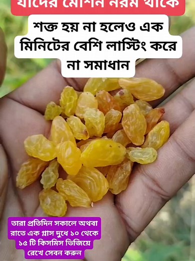 Ayurvedic Tips for Everyday Health: Simple Remedies & Practices