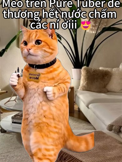 Và nhiều thứ hay ho khác nữa nha 😁 #puretuber #vui #haihuoc #mèo #cat #giaitritiktok #xhtiktok #vuinhon #viral #vui #xh #hot #hihi #funnyvideos #vuivemoingay❤️