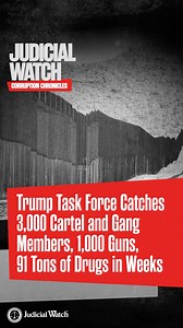 NEW: A Homeland Security Task Force (HSTF) established by President Trump on the day of his inauguration to tackle a pandemic of transnational organized crime created by the Biden administration’s “disgraceful” open border policies has made thousands of arrests in recent weeks and seized over 1,000 illegal firearms, 91 tons of drugs and $3 million in currency. The special HSTF teams combine agents from the Federal Bureau of Investigation (FBI) and Homeland Security Investigations (HSI), a premie