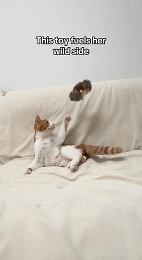 Looking for a fun way to entertain your furry friend?  This flying bird toy flaps, spins, and soars through the air — keeping your pet active, curious, and full of joy! ✨ Don’t miss out on this viral pet gadget | Rznx-A | Facebook