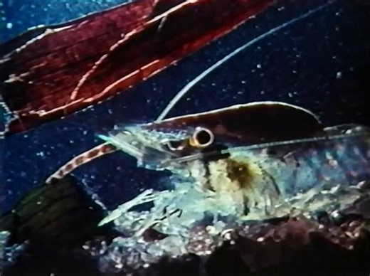 The Sea Behind the Dunes | Full Documentary | NOVA | PBS