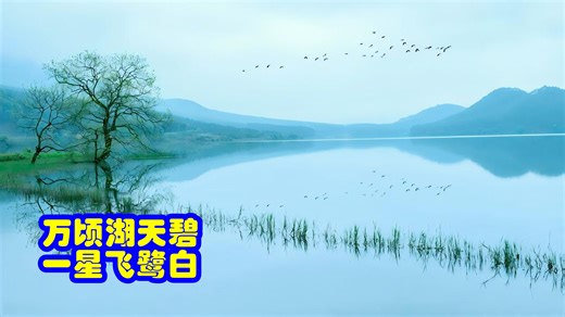 品鉴唐诗 万顷湖天碧 一星飞鹭白 皮日休 《秋江晓望》