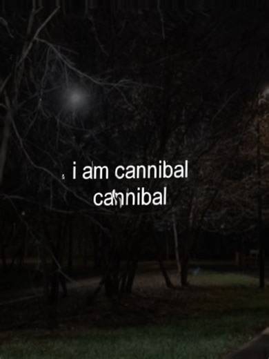 cannibal #lyricsvideo #foryoupage #musicvibes #music | cannibal by kesha song